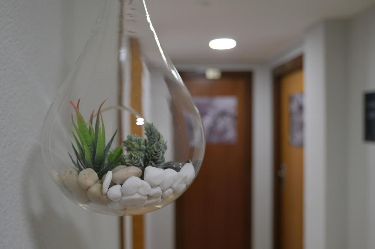 Hotel Arbre De Neu Енкамп Екстериор снимка